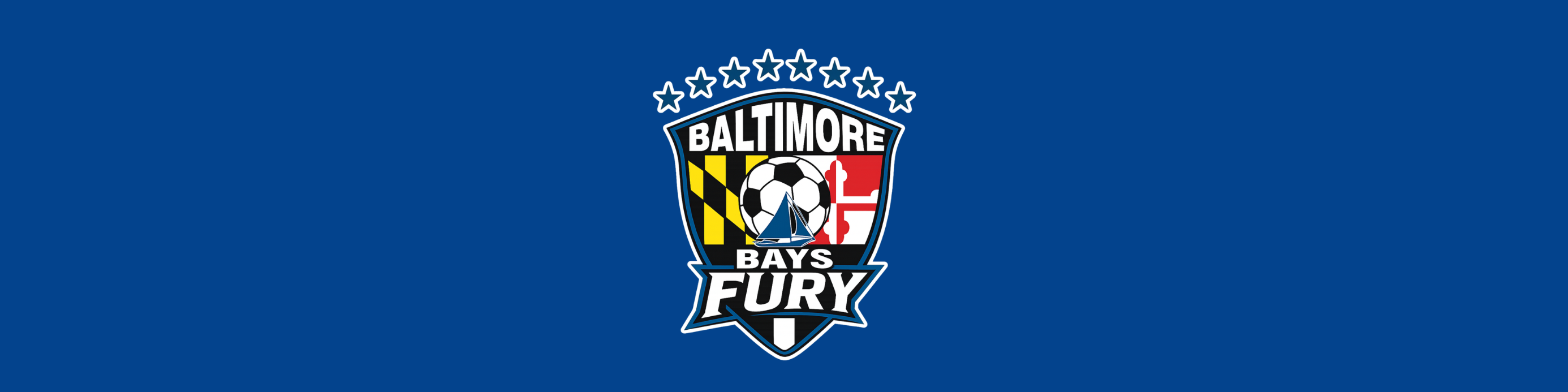 fury banner